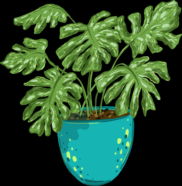 OnlyFNAS发布机制分析｜更新节奏管理技巧让创作更自由